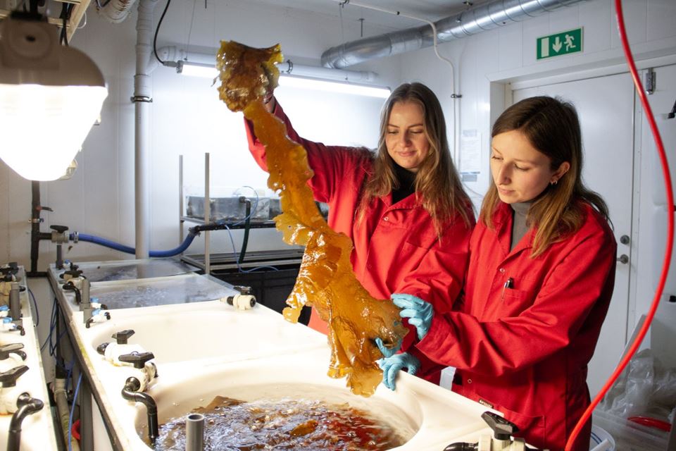 Klimaendringer, populasjonsvekst, og bekymringer om miljø og helse gjør at vi må tenke nytt om mat og kilden til maten vi spiser, mener forskerne Pernille Skavang og Hanne Dalsvåg i SINTEF Ocean. Foto: Kari Williamson