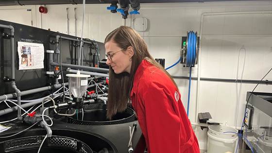 Klarte å omdanne giftig ammoniakk til næringsrik gjødsel