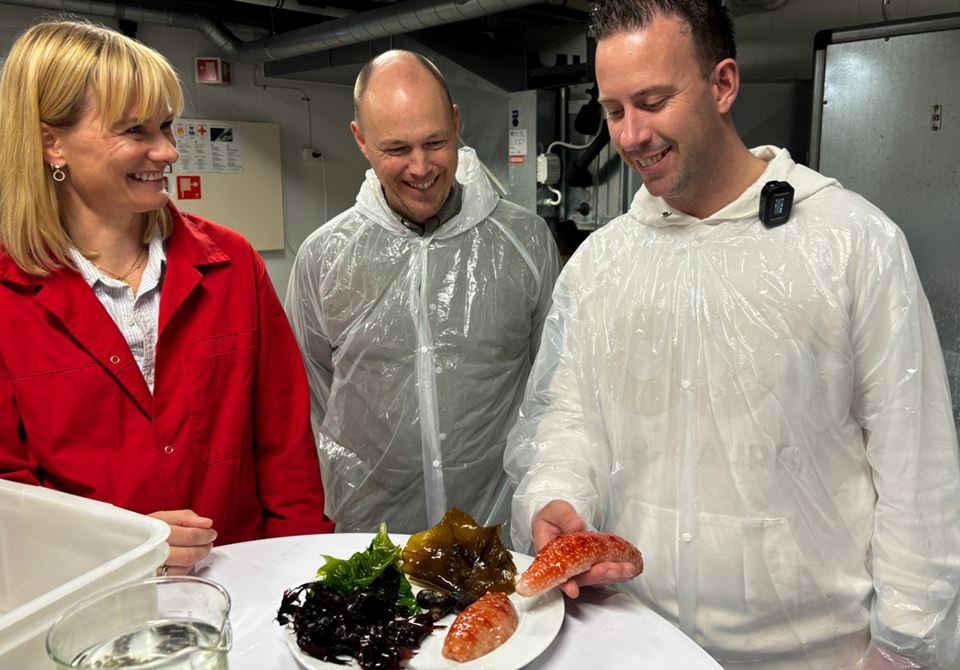 Michelin-kokker på lab-besøk: Benoit Dewitte møter verdens dyreste sjømatingrediens for første gang. Han og kollega Thiis Meliefste var svært nysgjerrige på å få høre mer om hvordan sjøpølsa kan brukes i mat. Foto: Henriette Krogness.