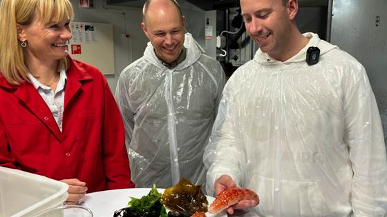 Her snuser Michelin-kokkene på fremtidens mat