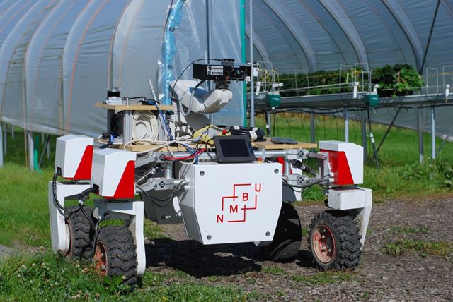 Landbruksroboten Thorvald ser ut som en selvkjørende ATV med ekstrautstyr. Nå har den fått jobben som jordbærbonde, takket være en helt spesiell sensor. 
