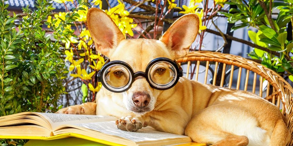 Er du klar for sommerquiz? Foto: Colourbox