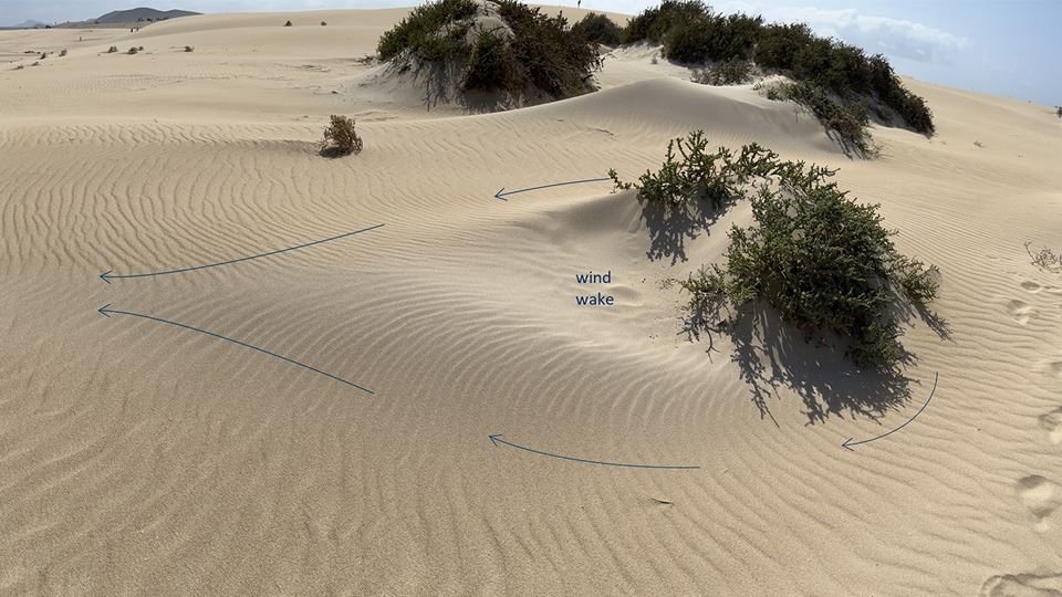 Når vinden treffer en hindring, strømmer den rundt og skaper en lavtrykksone på den andre siden. Dette er kjent som en «windwake», og kan sees i sandmønstrene på bildet, som er tatt på Kanariøyene. Foto: Daniel Krause/SINTEF