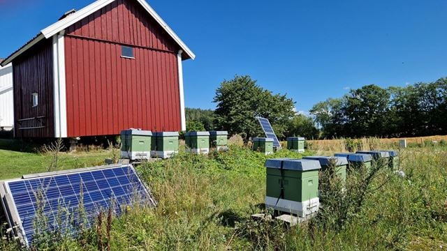 Solcellepaneler ved siden av bikubene. Ute på landet i fint vær.