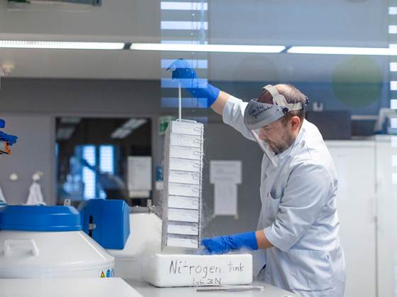 Nytt håp for pasienter med kronisk tarmbetennelse