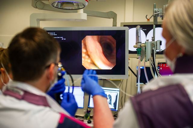 Et bronkoskop er en fleksibel kikkertslange med et kamera og lys i enden, som brukes til å undersøke luftveiene. Foto: Karoline Ravndal Lorentzen 