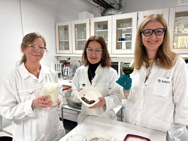 Tre kvinnelige forskere viser fram råstoffet som brukes til å dyrke larver - og larver.