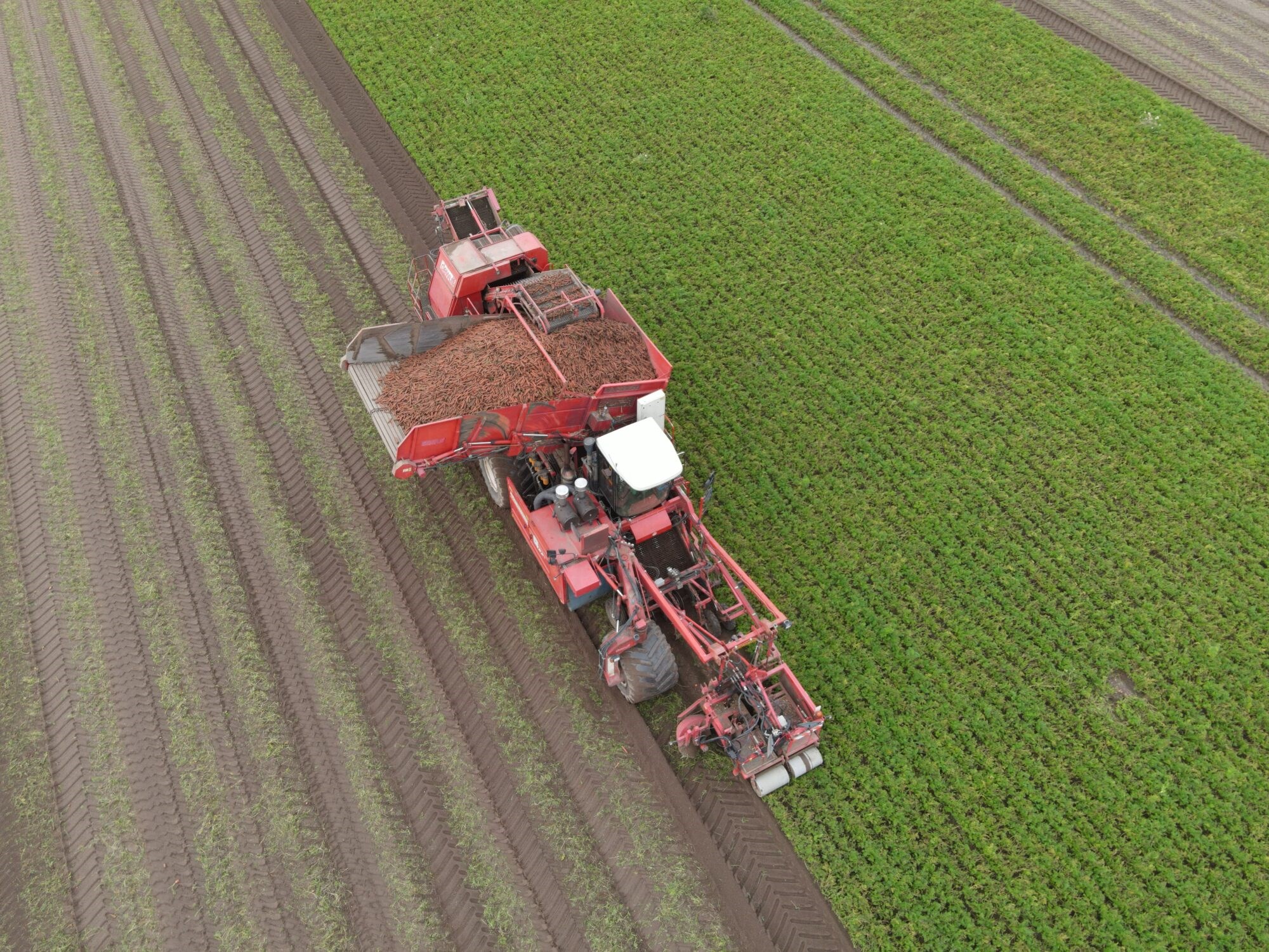 Vil plasforbruket til livs med å bruke norske landbruksrester