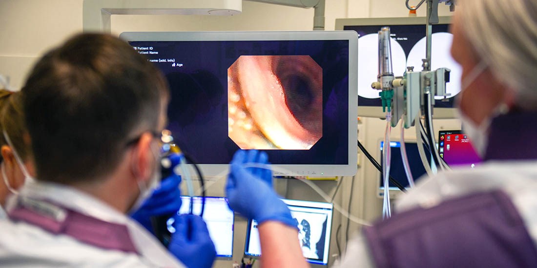 Viser vei i lungelabyrinten