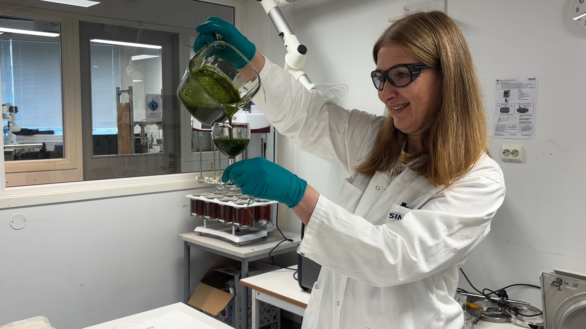 Insekter kan bli vår hemmelige beredskapstropp