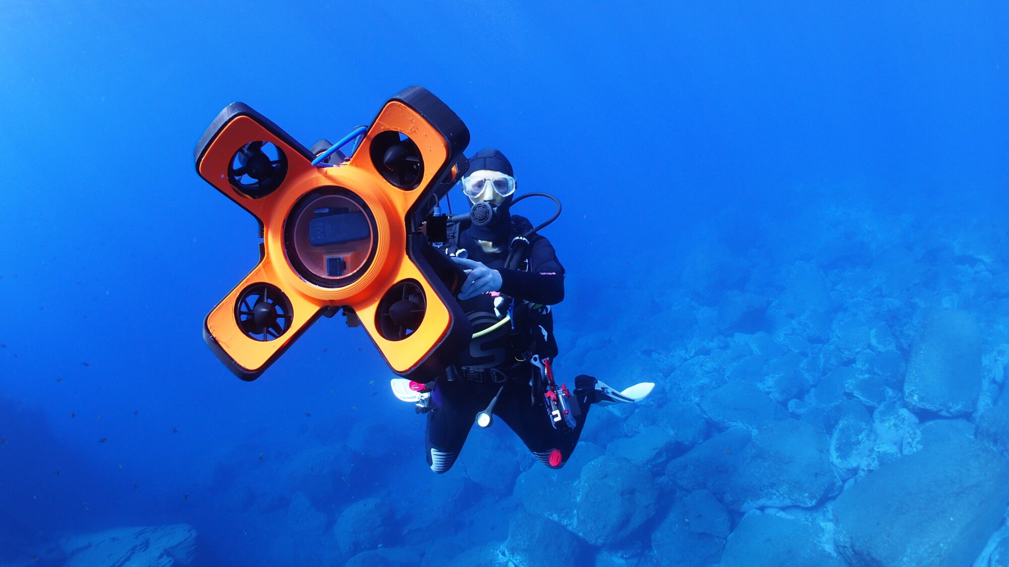 Redder sjøgress og franske østers: Nye løsninger gir nytt liv til Europas kystområder