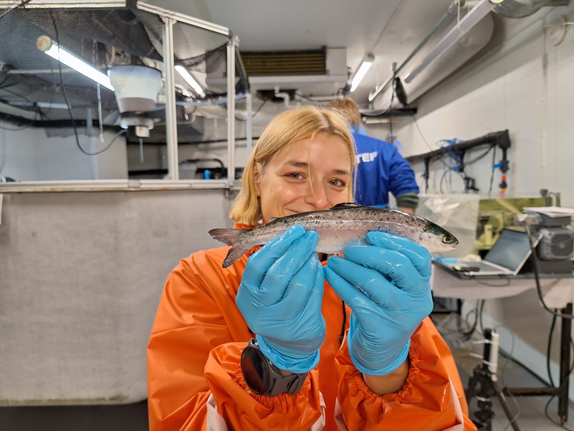 Erstatter soya og fiskemel med mikroalger