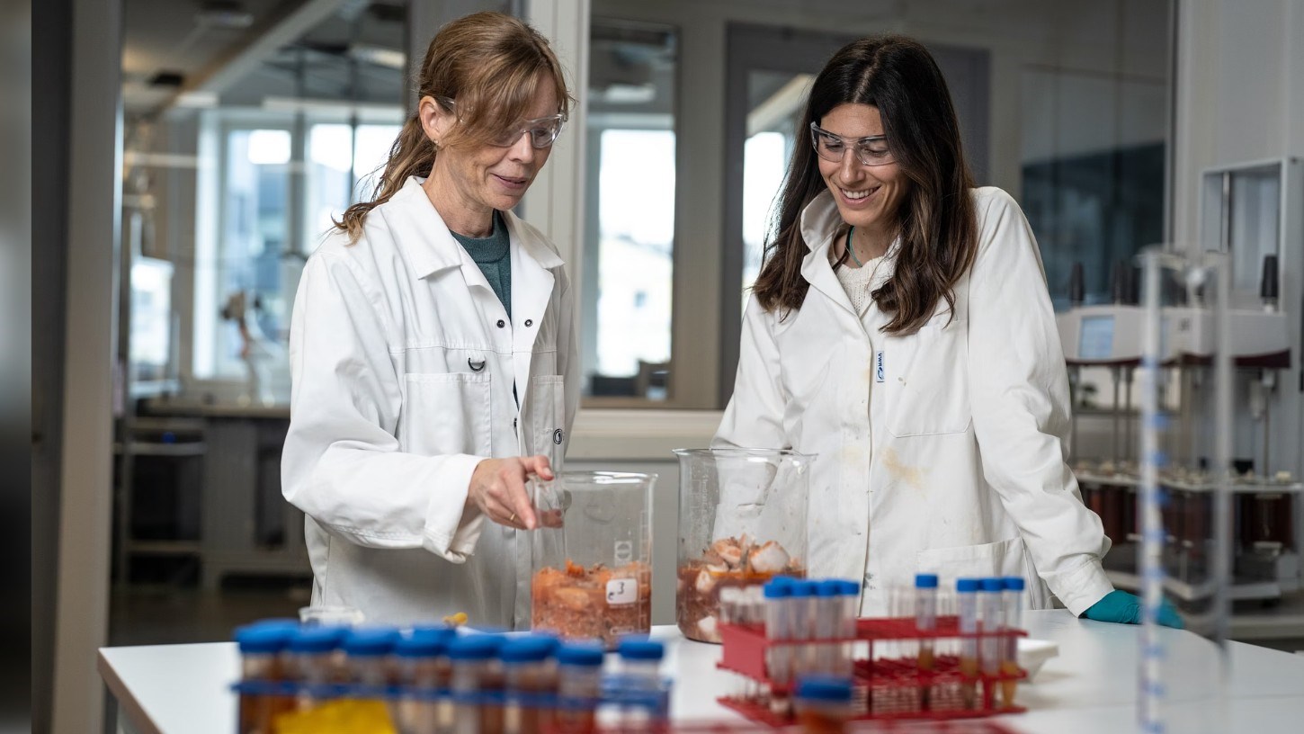 Skal vi kaste bort mat på biogass?