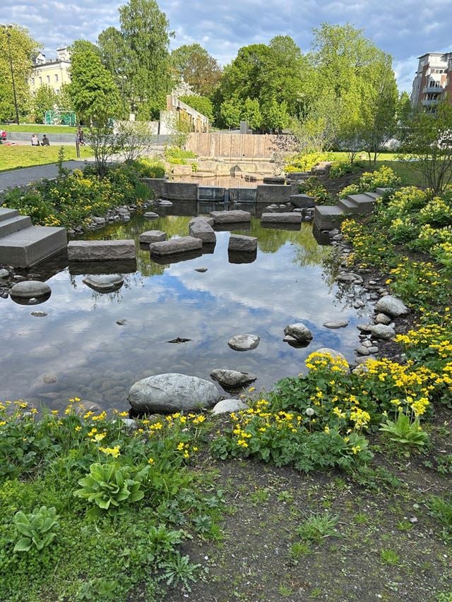 Bildet er fra Klosterenga park i Oslo. Hovinbekken som renner gjennom parken, har vært det mest lukkede vassdraget i Oslo. Åpne bekker kan ta unna store vannmengder, og bidrar til dyre- og planteliv i byen.