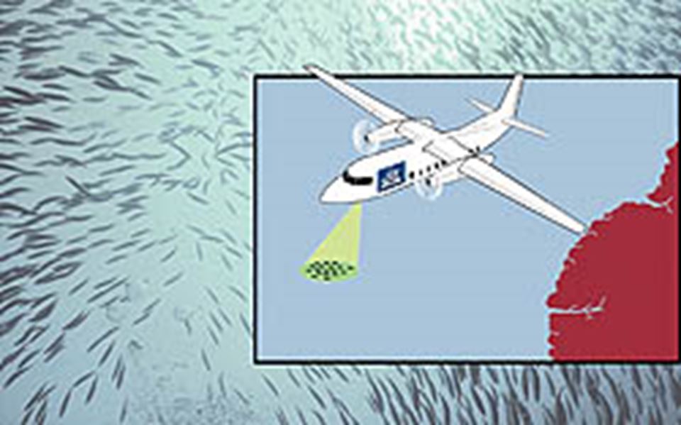 COUNTING FISH: The new laser is mounted in the belly of a plane that flies just 300 metres over the surface of the sea. Laser counting technology isn’t yet fully developed for commercial use, but the prototype is already cheaper and quicker than current tallying techniques.

Photo: Scanpix. Graphics: Department of Electronics and Telecommunications