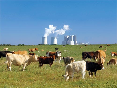 A LITTLE PIECE OF SWEDEN