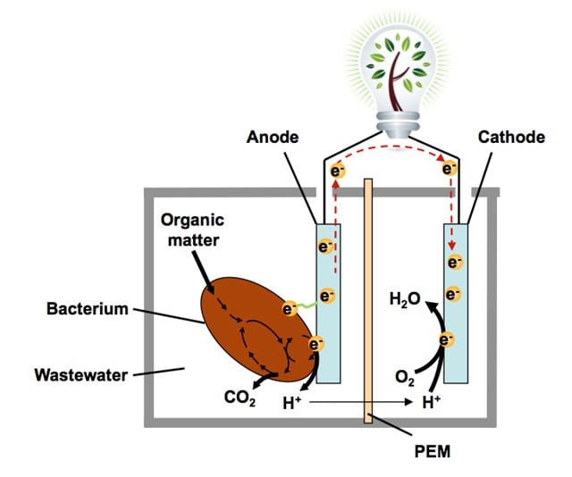 The electrons produced at the anode migrate via an external circuit and generate electricity. The protons produced at the same time migrate through the membrane. When the electrons are reunited at the cathode, they react with the oxygen to produce water and hydrogen peroxide. The hydrogen peroxide (also used to bleach hair) is used as a component in the water purification process. The fuel cell requires no electricity supply. Figure: Roman Netzer/SINTEF. 