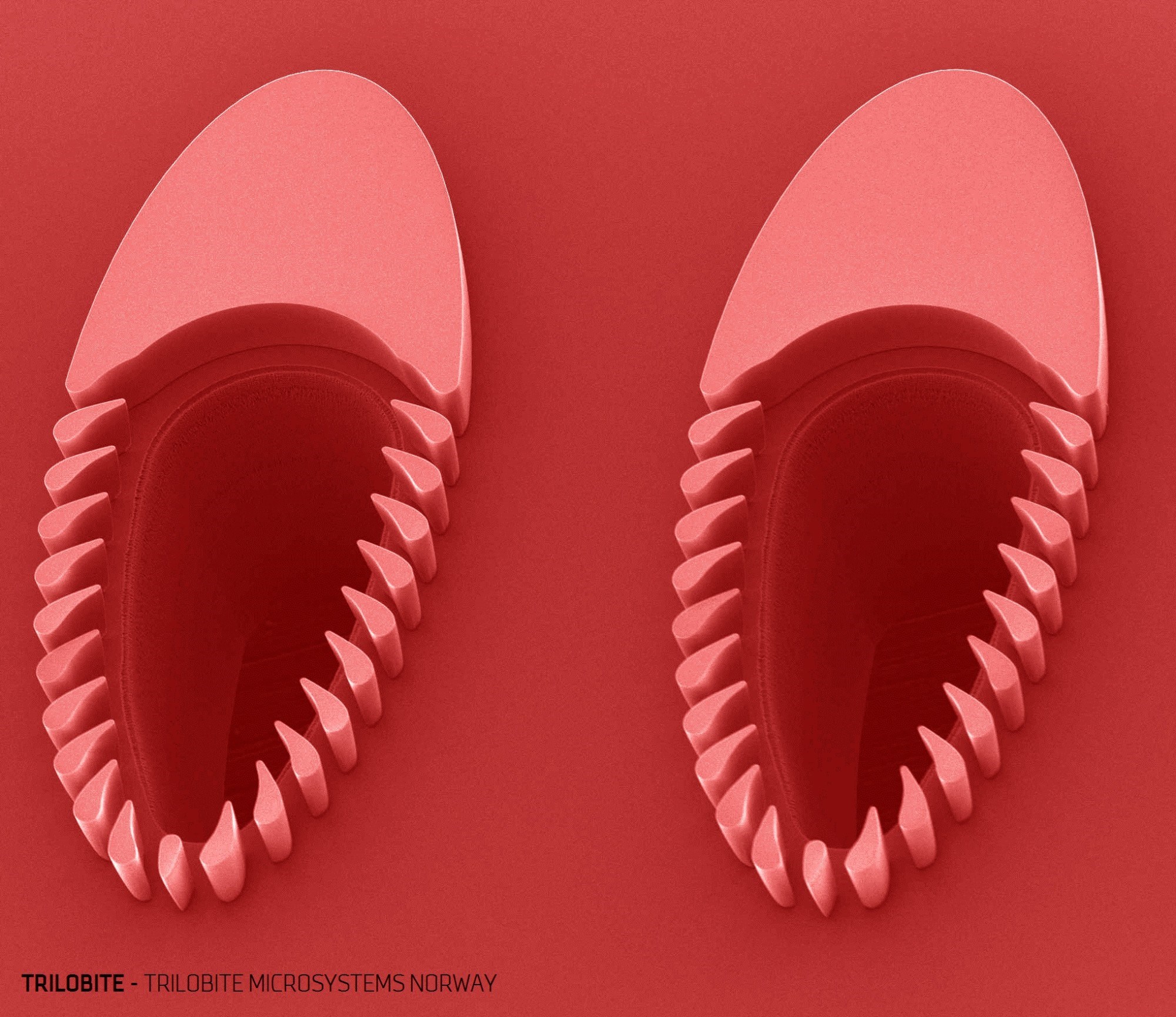 “Trilobites” that filter and decontaminate