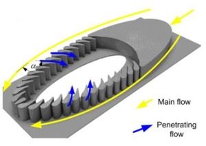 The figure illustrates how the water flows around and through the trilobite. Solid particles are filtered out as water passes through the gaps between the micro-pillars.
