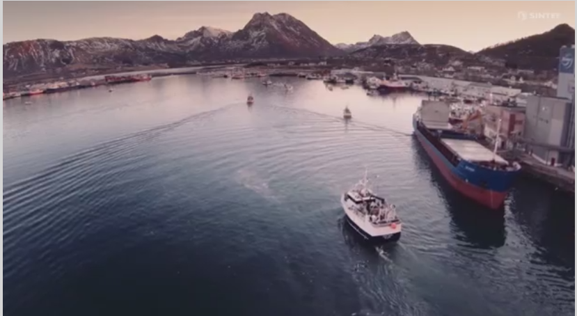 Help for fishing vessels to locate their catch