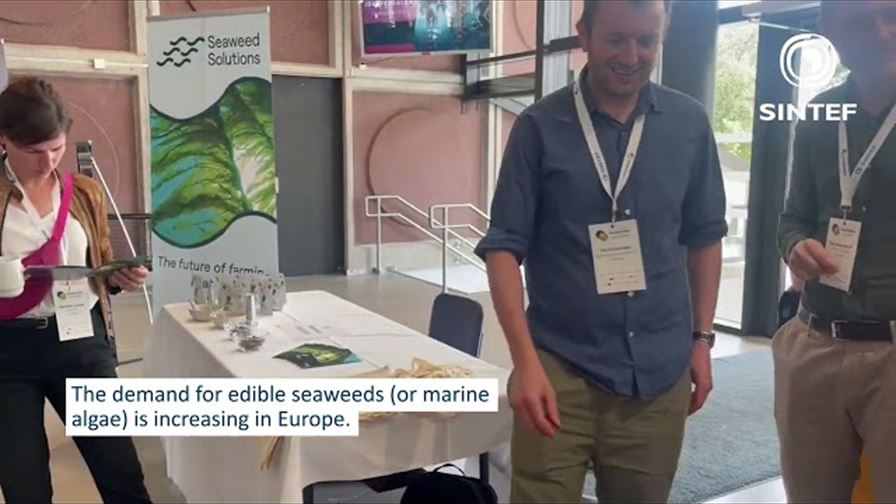 Seagriculture EU 2023 drives seaweed innovation forward