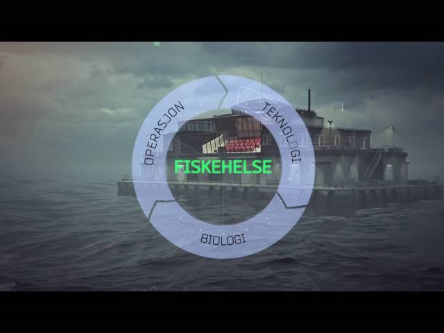 "A floating knowledge center"