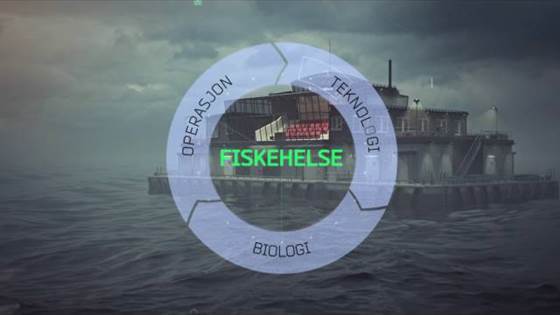 "A floating knowledge center"