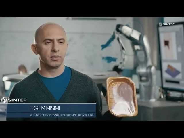 Effektiv kyllingrobot