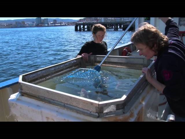 Inspiring day for junior high school pupils