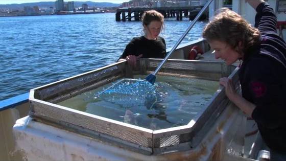 Inspiring day for junior high school pupils