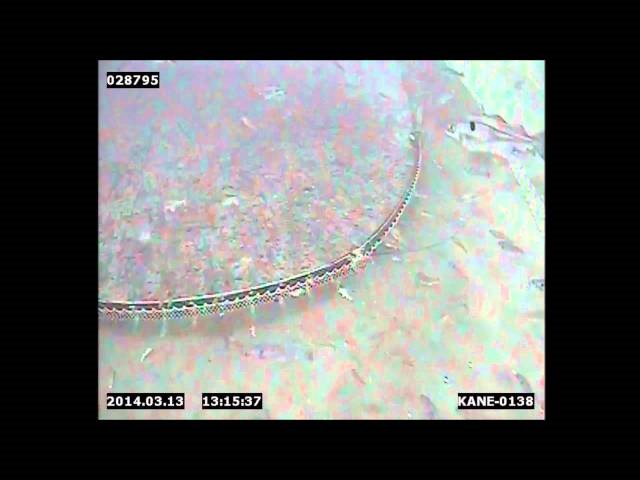 Utvikling av multirig semi-pelagisk trål (Multisept)