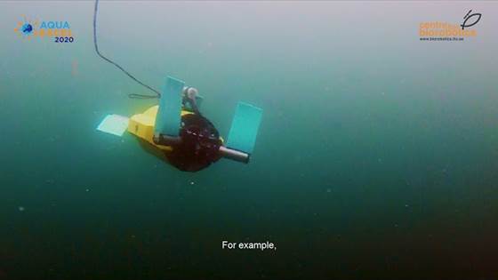 Apply for Fully EC-Funded Access to Top-Class Research Infrastructures with AQUAEXCEL 2020