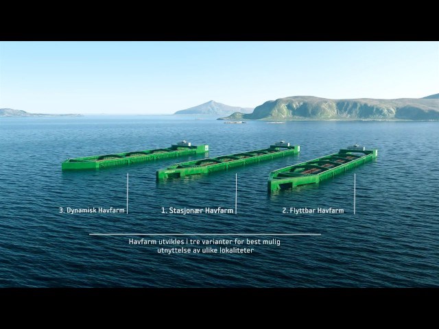 Vil sjøsette oppdrettsanlegg på 385 meter