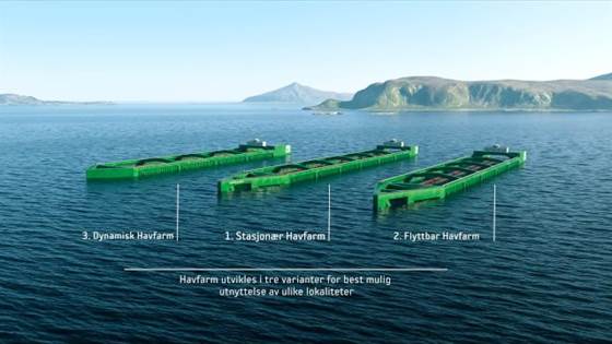 Vil sjøsette oppdrettsanlegg på 385 meter