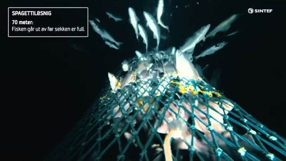 Fangstkontroll i snurrevadfiske