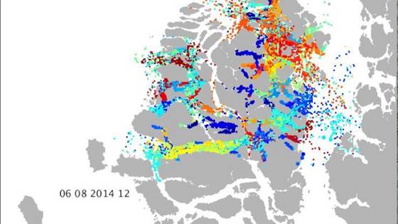 Looking into how salmon lice are spread between fish farms