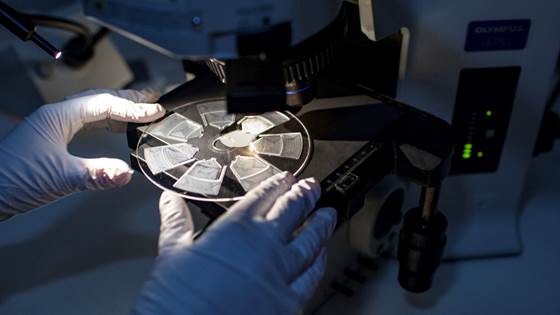 New allergy test promises safer antibiotic use
