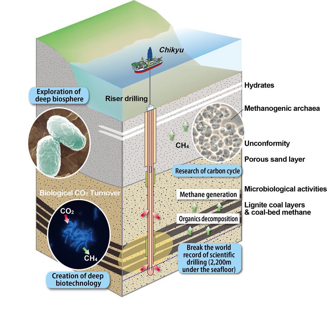 This graphic shows a conceptual model of how ancient microbes deep under the sea make methane. Illustration: JAMSTEC