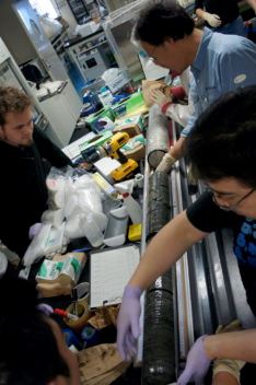 Scientist work in the lab with samples collected by Chikyu from the deep coal bed where ancient bacteria were found. Photo: JAMSTEC/IOP