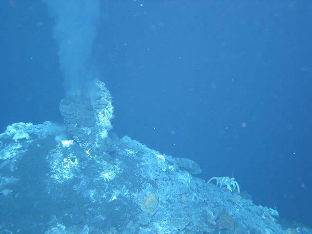 Japan's location in a seismically active area offers JAMSTEC researchers access to many mineral-rich deep-sea hydrothermal areas. Photo: JAMSTEC