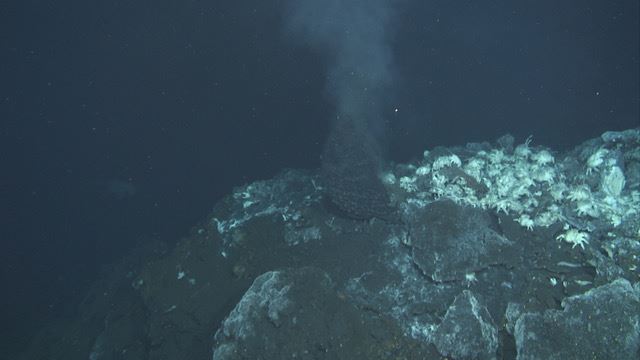 A black smoker in the Okinawa Trench. Photo: JAMSTEC