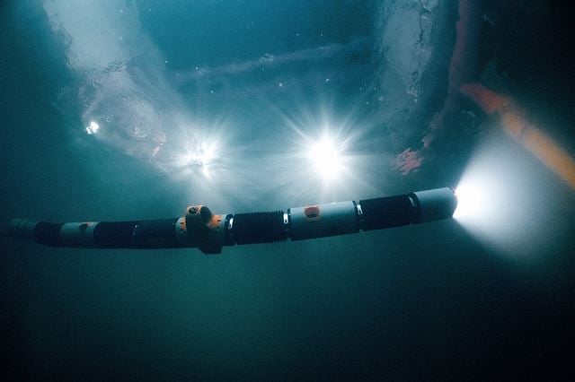The snake robot can straighten out and swim like a torpedo-shaped AUV over long distances. Photo: Eelume