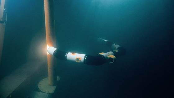 A giant subsea snake robot