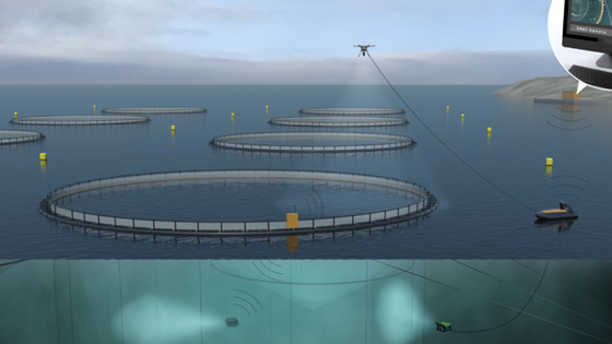 Tomorrow’s fish farms will be unmanned
