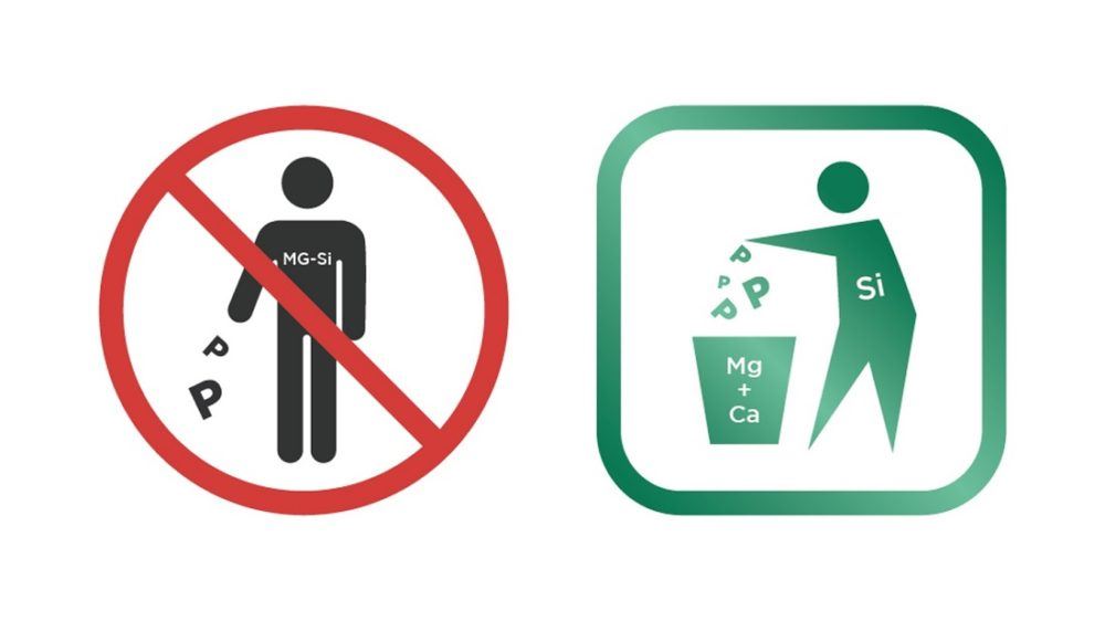 An illustration showing proper waste management