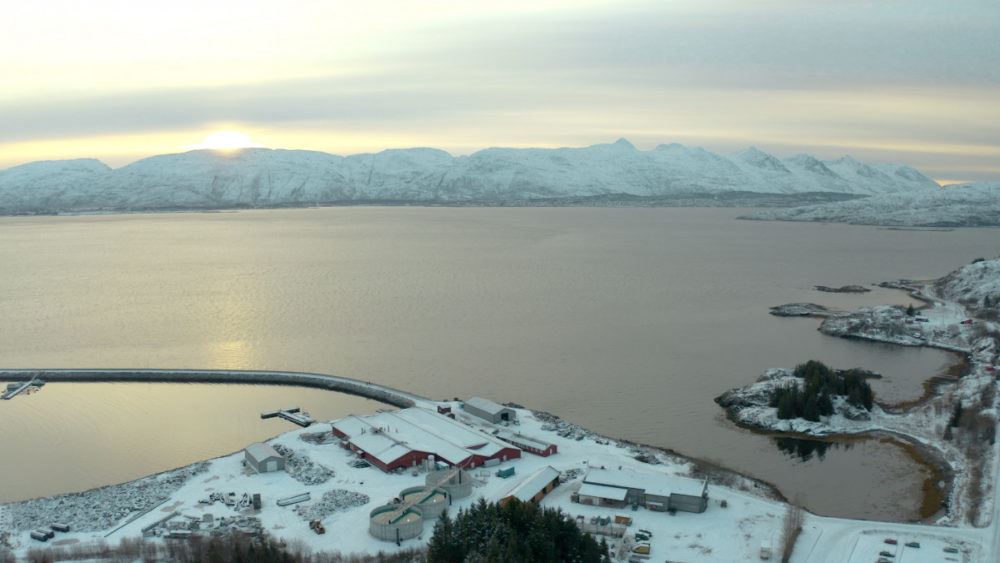 Fish farm on land in Norway