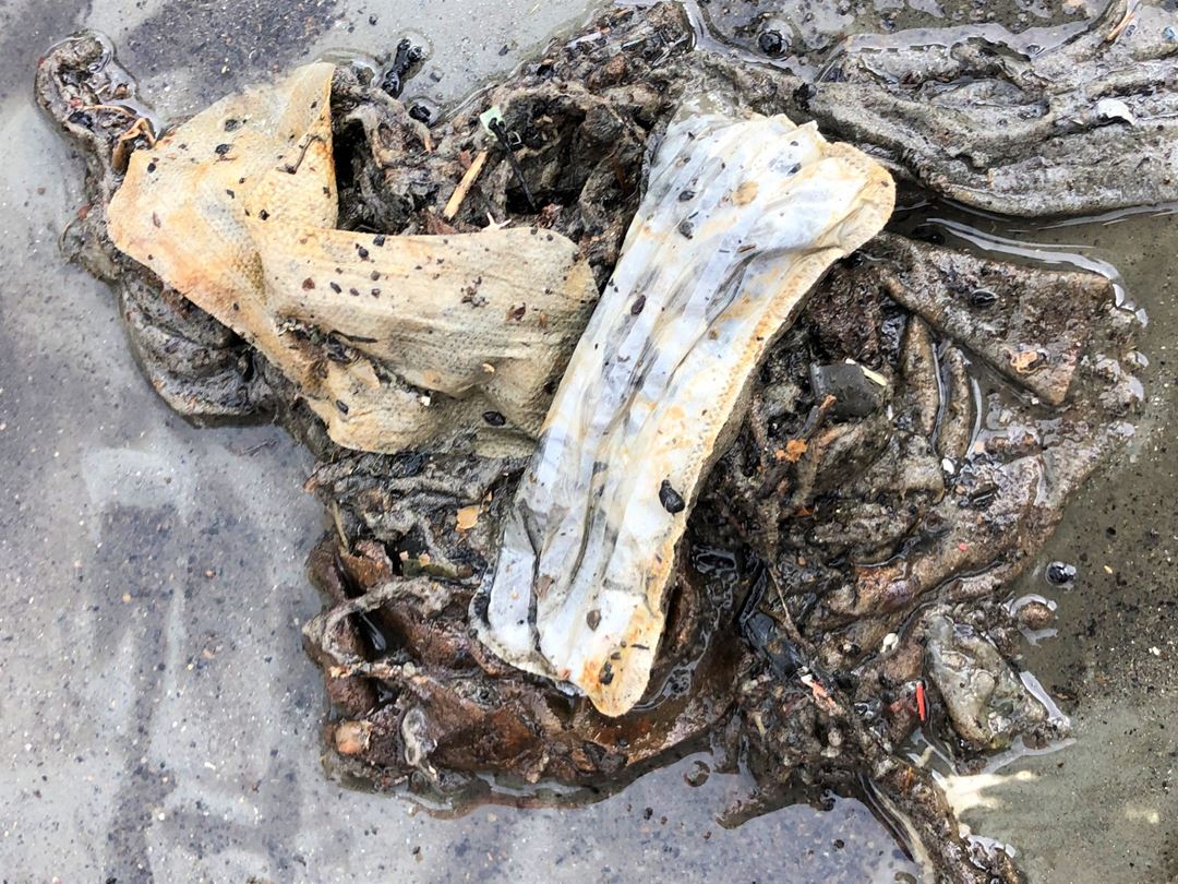 Sanitary pads, wet wipes and seaweed.