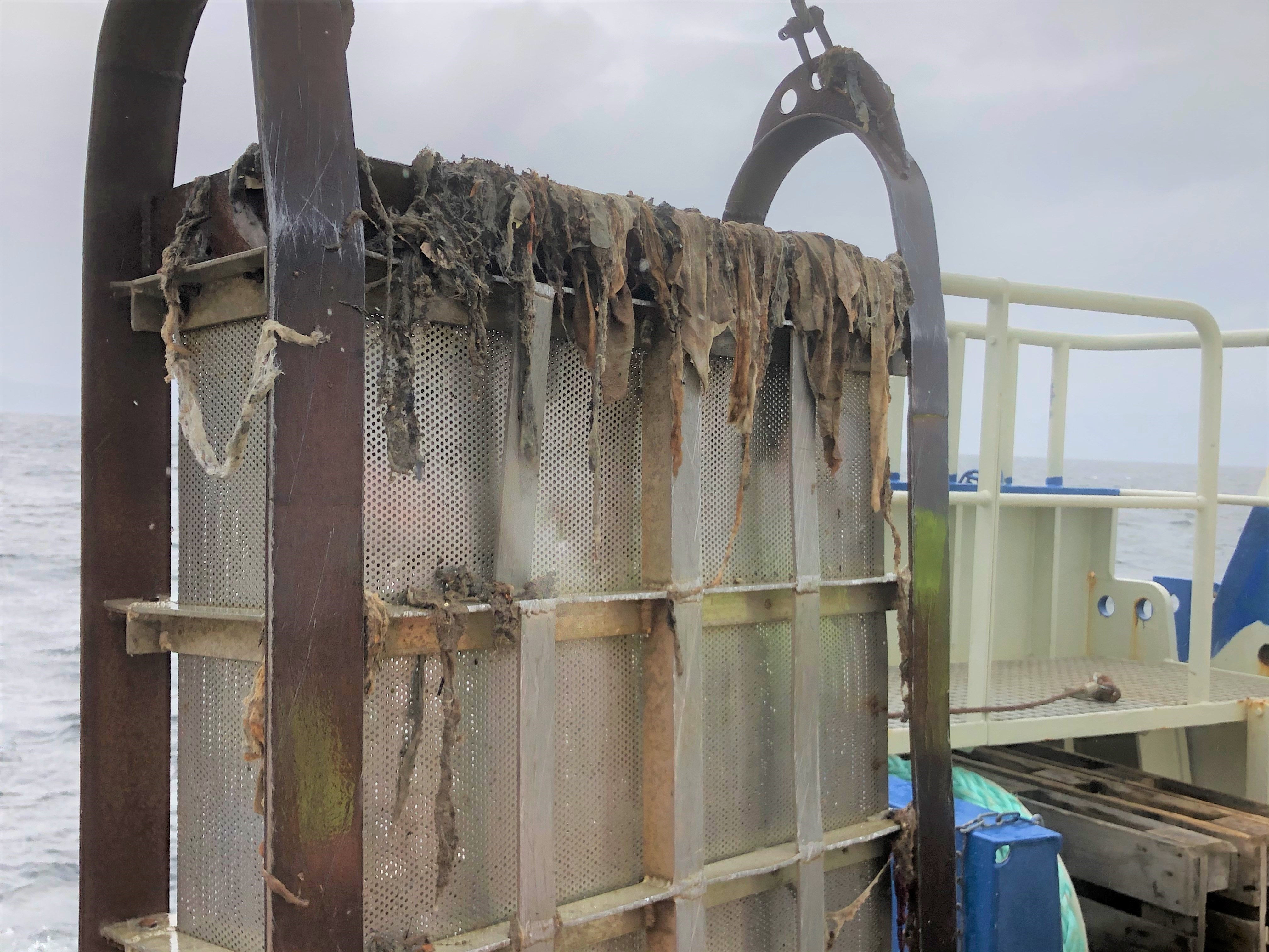 Researchers found an underwater landfill while looking for chemical discharges from mobiles and electronic devices