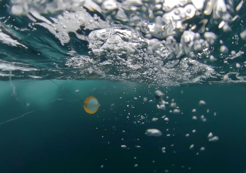 Plankton net in water