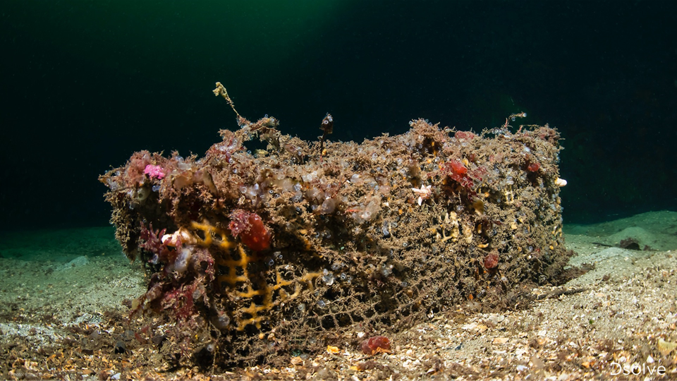 Ghost fishing: In Norway alone, more than 22,000 lost nets have been caught in addition to ropes and other gear from the fisheries, since the the 80s, according to figures from the Directorate of Fisheries. Photo from the project DSOLVE.